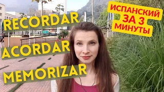 Разница между recordar и acordar: испанские глаголы памяти