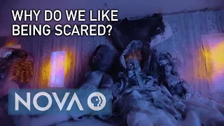 Why Do We Like Being Scared?