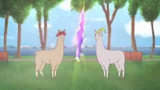 Lamas mit hüten 1-6