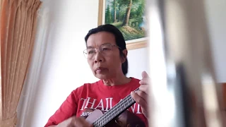 Lynn Anderson - Hello Darlin (ukulele cover) by Anne Fernando อูคูเลเล่