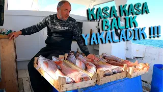 YİNE HARİKALAR PEŞ PEŞE... | KASA KASA MERCANLAR VE DAHASI...