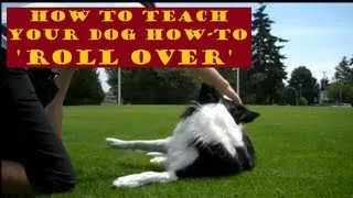 ROLL OVER - How to teach