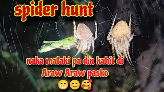Spider hunt na malaki pa din naman kahit di Araw Araw pasko 😁😊🥰