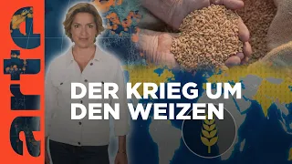 Ernährungsunsicherheit: Der Krieg um den Weizen | Mit offenen Karten - Im Fokus | ARTE