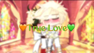 🧡True Love💚 || Part 3 of ✨🧡The True Love Kiss can wake up the Prince💚✨ || Final Part || 🧡Bkdk💚