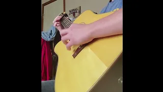 Wildwood flower(guitar)