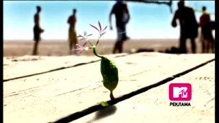 MTV Idents - Flowers/Plants (2006)