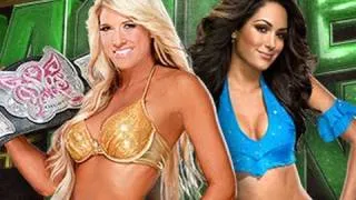 WWE Money in the bank 2011 (WWEPG) Kelly Kelly vs Brie Bella