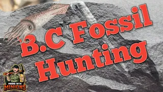 B.C Fossil Hunting!