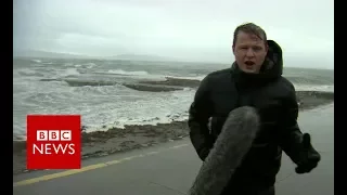 Hurricane Ophelia: Three people die as storm hits Ireland - BBC News
