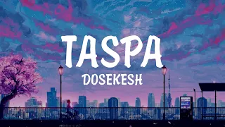 DOSEKESH - TASPA (Speed up), текст