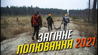 Яскраве полювання по копитному звіру / 2021 / Піпло