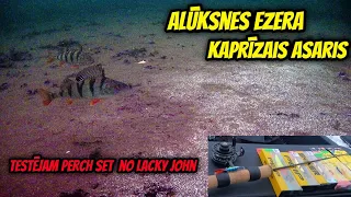 Kaprīzais Alūksnes ezera asaris. 🐠🐠🐠