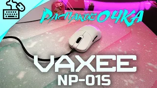 РаспаковОЧКА - VAXEE ZYGEN NP-01S (сравнение с PRIME MINI, RAZER VIPER MINI, XM1R, ZOWIE ZA13)