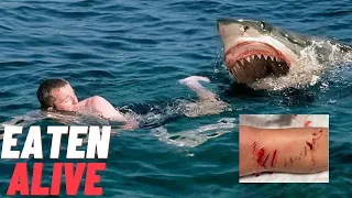 Quadruplets' Mom Bitten in Half by a Great White Shark - Animals Gone WRONG