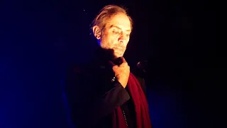 Peter Murphy - Bela Lugosi's Dead