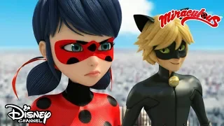 😎 Két Katicabogár? | Miraculous | Disney Csatorna