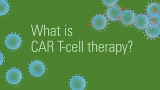 CAR T cell therapy for cancer treatment: How it works