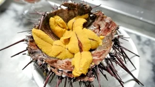 Street Food - Eating LIVE Sea Urchin Uni Sashimi!