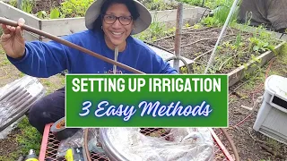 DRIP IRRIGATION for your garden: IT'S A GAME CHANGER!