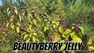 How To Make￼ Beautyberry Jelly