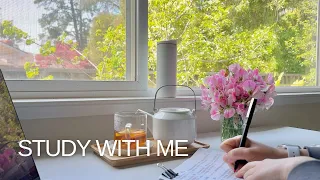 STUDY WITH ME  ·  1-hr  ·  calm piano  ·  countdown & alarm  ·  no break