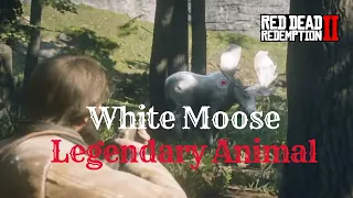 LOOK AT THE SIZE OF THAT MOOSE!!! Legendary White Moose - Red Dead Redemption 2