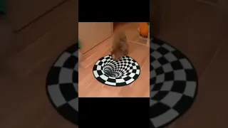 Dogs vs Cats vs optical illusion