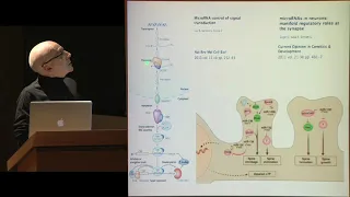 Maladies neurologiques et psychiatriques : un éclairage… (5) - Alain Prochiantz (2011-2012)