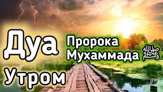 ✔️Дуа утром на Удачу. Читал  Пророк МУХАММАДﷺ