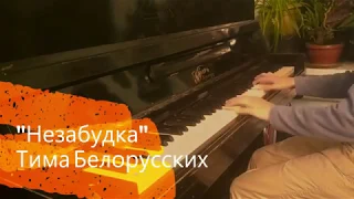 "Незабудка"-Тима Белорусских (Piano-Cover)