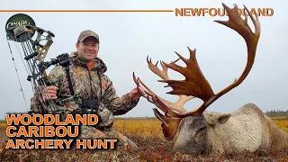 Record Book Woodland Caribou Archery Hunt in Newfoundland | Canada in the Rough #hunting #video