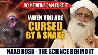 Can A SNAKE CURSE Have Impact On You ? | Science Behind NAAG DOSHA | Serp Dosh solution | Sadhguru