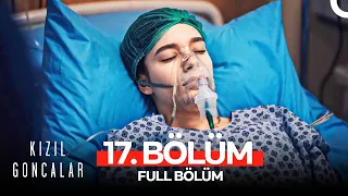 Kızıl Goncalar 17. Bölüm