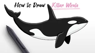 How to Draw Ocean Killer Whale (Orca animal) easy Step By Step