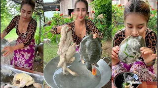 Cook turtle soup with chicken recipe and eat