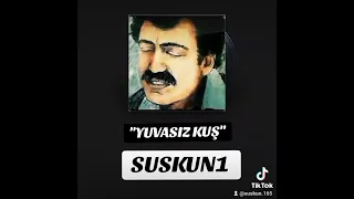 SUSKUN1----"YUVASIZ KUŞ"