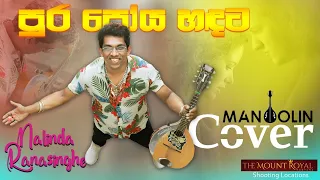 පුර පෝය හඳට- Pura poya handata - Nalinda Ranasinghe -Mandolin Music Cover