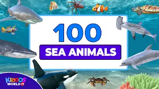 100 Sea Animals Collection - Learning Aquatic Animals Names and Videos