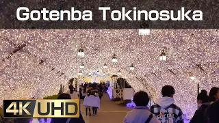 [4k] Walk around Tokino Sumika Illumination in Gotemba Kogen Resort(Shizuoka)