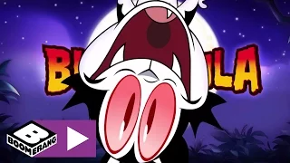 Bunnicula | Titelmelodie | Cartoonito