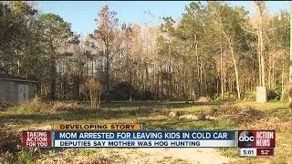 Mom Arrested for Leaving Kids in Cold Car