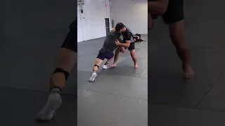 Wrestler vs Judoka