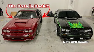 The BOSS is BACK! Fully RESTORED 1982 Mustang GT!! Cobra Gets NEW HEADS!!