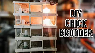 DIY Chick Brooder || Multiple Level Chick Brooder || Chick Brooder Design