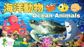 Ocean Animals in Chinese 海洋動物 | Animal Vocabulary | Learn Chinese for Kids, Toddlers & Preschoolers