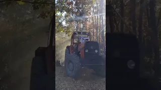 Belarus Mtz 1221.2 with big homemade trailer logging in winter forest, slippery conditions