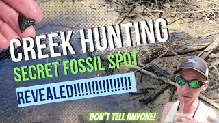 Florida Creek Fossil Hunting! ANOTHER Secret Spot Revealed! #florida #peaceriver #FOSSIL #sharkteeth