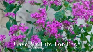 281 SDA Hymn - I Gave My Life For Thee (Singing w/ Lyrics)