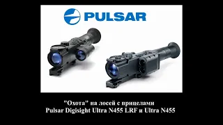 "Охота" на лосей с прицелами Pulsar Digisight Ultra 455 и  Ultra 455 LRF